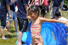 VBS2011b2520148