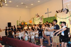 VBS2011b2520225