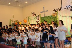 VBS2011b2520234