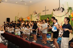 VBS2011b2520240