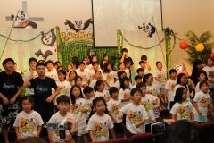 VBS2011b2520246