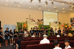 VBS2011b2520271