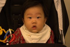 NIK_3406
